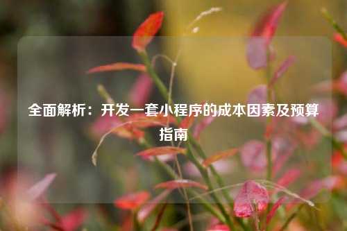 宁波全面解析:开发一套小程序的成本因素及预算指南