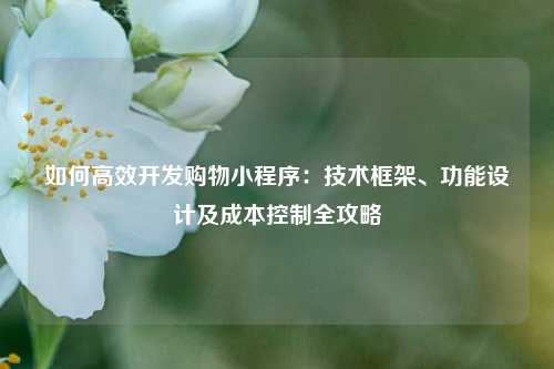 宁波如何高效开发购物小程序：技术框架、功能设计及成本控制全攻略