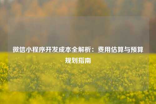 宁波微信小程序开发成本全解析：费用估算与预算规划指南