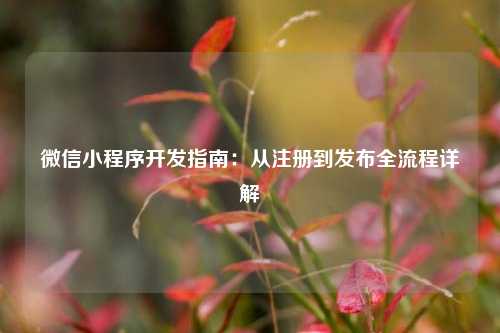 宁波微信小程序开发指南：从注册到发布全流程详解