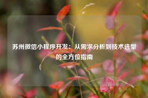 宁波苏州微信小程序开发：从需求分析到技术选型的全方位指南