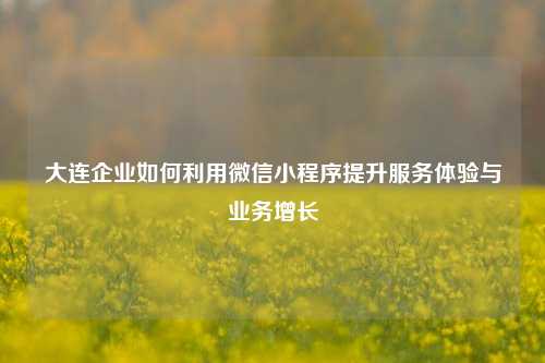 大连企业如何利用微信小程序提升服务体验与业务增长