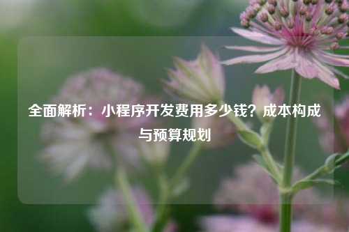 全面解析：小程序开发费用多少钱？成本构成与预算规划