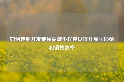 如何定制开发专属商城小程序以提升品牌形象和销售效率